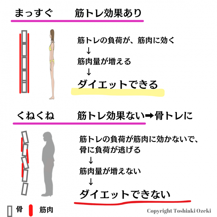 筋トレの負荷が、筋肉に効く筋肉量が増える ダイエットできる 筋トレの負荷が筋肉に効かないで、骨に負荷が逃げる 筋肉量が増えない ダイエットできない