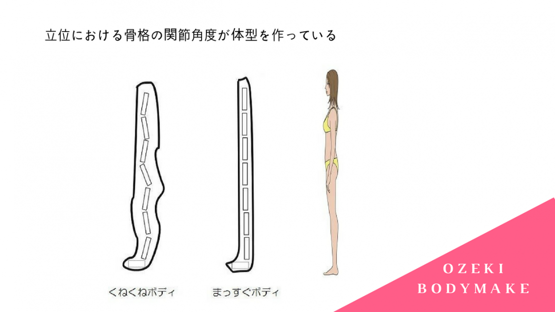 膣位における骨格の関節角度が体型を作っている　まっすぐボディ　くねくねボディ