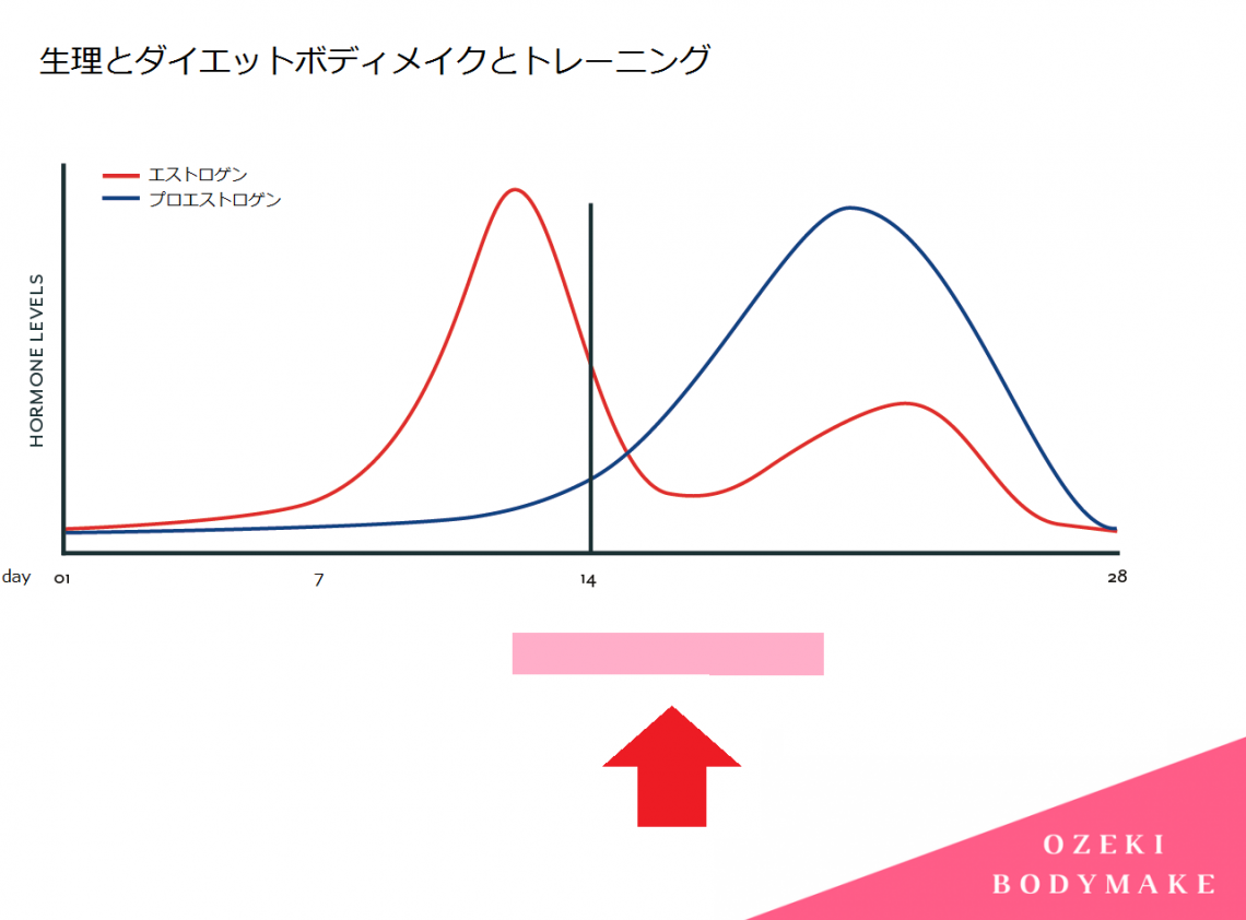 ダイエットボディメイク