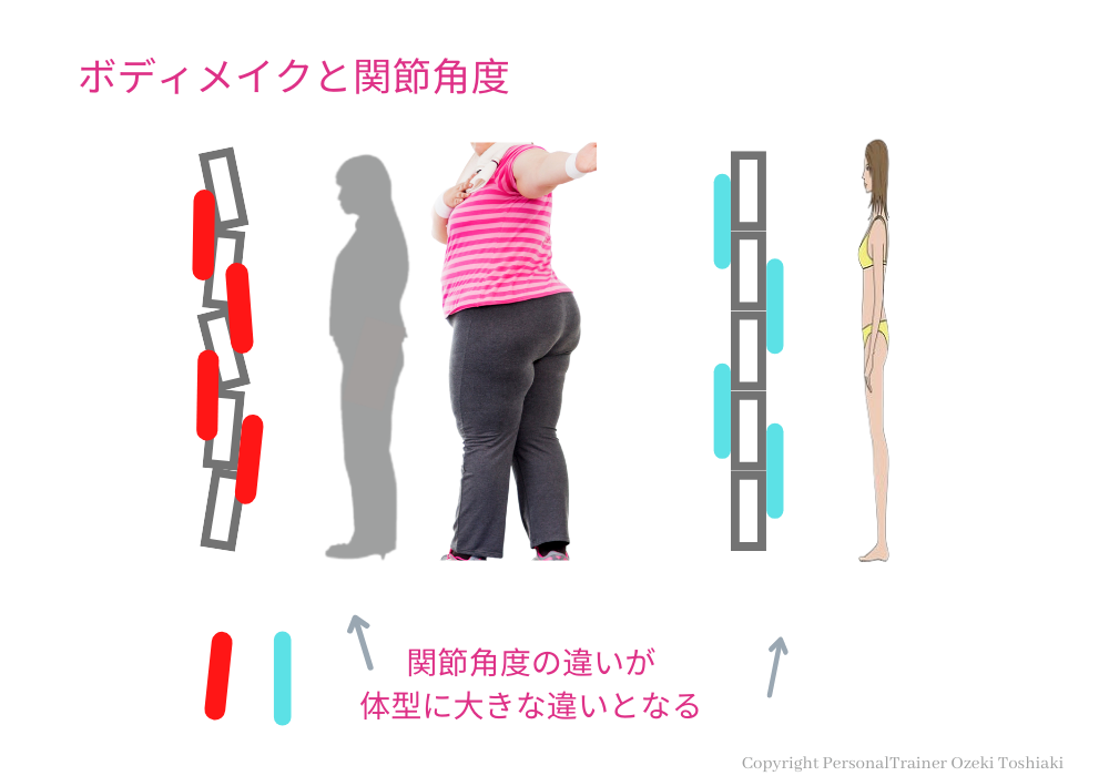 ボディメイクと関節角度の関係