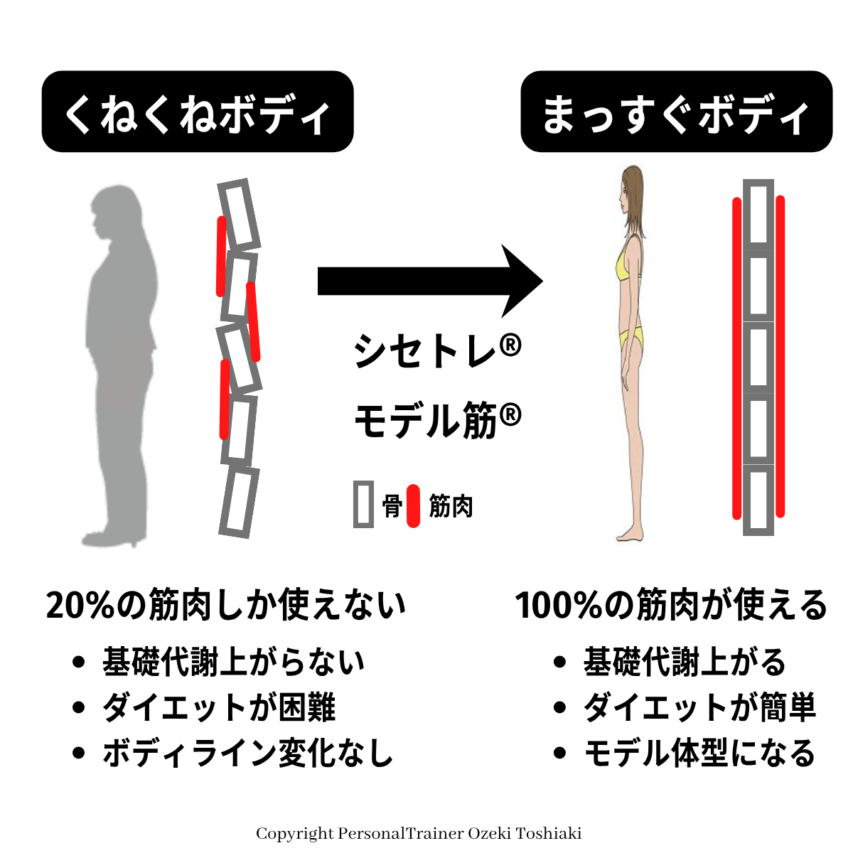 まっすぐボディ:100%の筋肉が使えるトップモデルの骨格 くねくねボディは20%の筋肉しか使えないからダイエットが困難