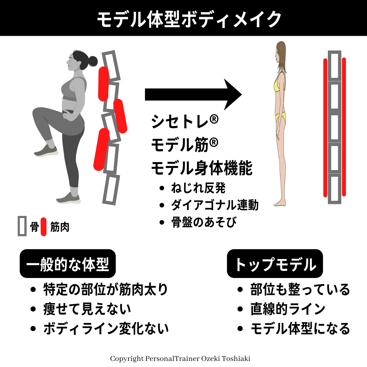 モデル体型ボディメイク：筋肉太り解消とファッション体型