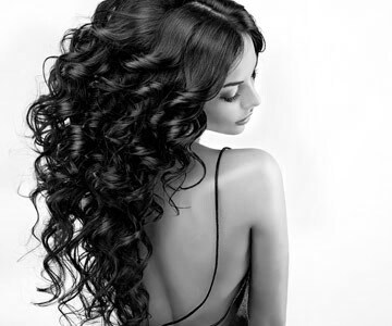 モデル筋の画像